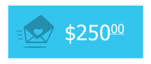 Two Hundred Fifty Dollar Donation Button